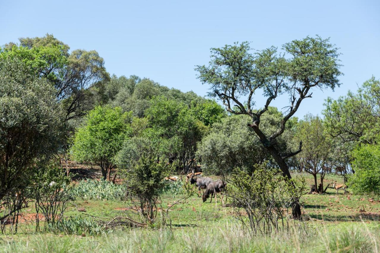 Harties Is Africa Safari Lodge Kosmos Extérieur photo