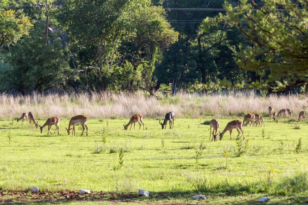 Harties Is Africa Safari Lodge Kosmos Extérieur photo