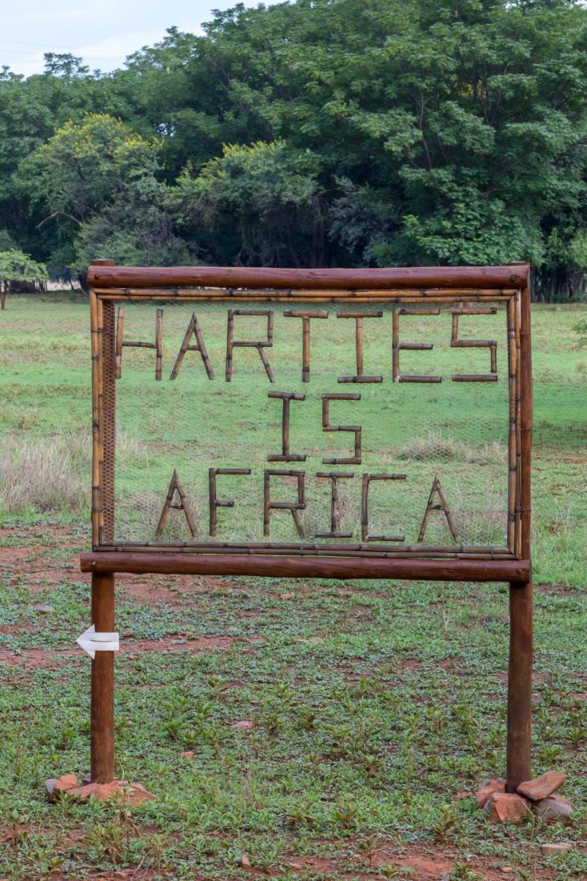 Harties Is Africa Safari Lodge Kosmos Extérieur photo