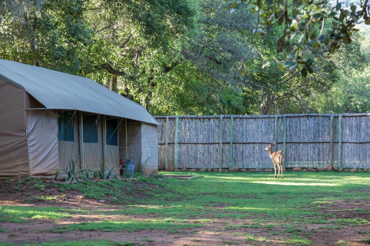 Harties Is Africa Safari Lodge Kosmos Extérieur photo